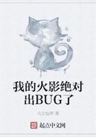 我的火影絕對出BUG了在線閱讀