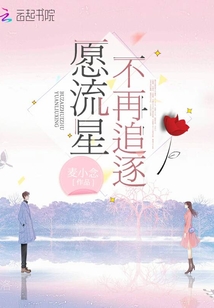 愿流星不再追逐
