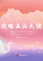 攻略反派大佬的三十六计在线阅读