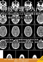 神经心理学入门