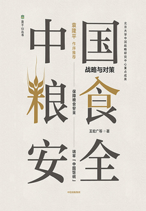 中国粮食安全:战略与对策