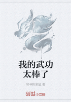 我的武功太棒了在線閱讀