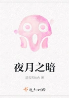 夜月之暗在线阅读