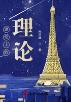 理论上的理论在线阅读
