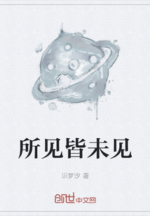所见皆未见