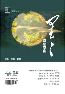 星星·詩歌原創（2020年第4期）