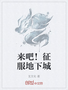 来吧!征服地下城在线阅读