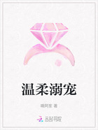 温柔溺宠在线阅读