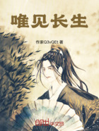唯見長生在線閱讀