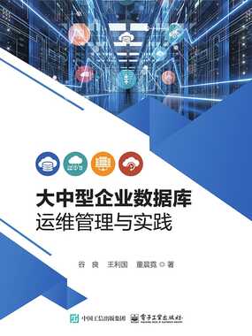 大中型企业数据库运维管理与实践在线阅读