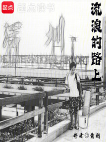 流浪的路上