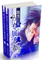 二嫁之寵婚在線閱讀