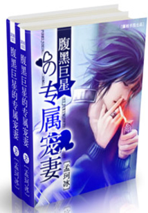 二嫁之宠婚