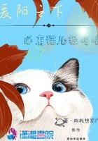 暖陽之下，必有貓兒輕哼唱在線閱讀