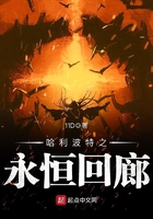 哈利波特之永恒回廊在線閱讀