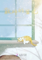 散碎的星光在線閱讀
