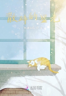散碎的星光