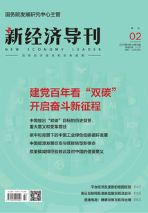 新經(jīng)濟(jì)導(dǎo)刊（2021年第2期）