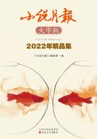 小说月报大字版2022年精品集