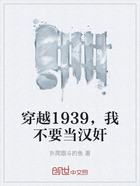 穿越1939，我不要当汉奸在线阅读