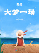 却是大梦一场在线阅读