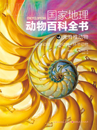 无脊椎动物:软体动物·刺胞动物·环节动物(国家地理动物百科全书)在线阅读