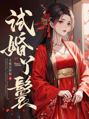 试婚丫鬟在线阅读