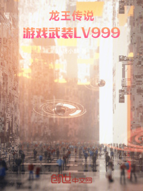 龙王传说：游戏武装LV999在线阅读