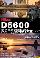 Nikon D5600数码单反摄影技巧大全