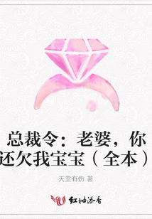 總裁令:老婆,你還欠我寶寶(全本)