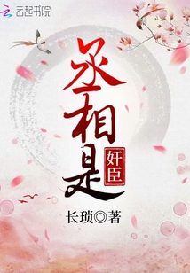 丞相是奸臣