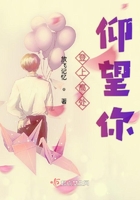 登上高處仰望你在線閱讀