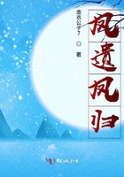 鳳遺之白發三千恨在線閱讀