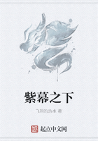 紫幕之下在線(xiàn)閱讀