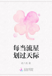每當流星劃過天際