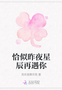 恰似昨夜星辰再遇你