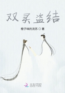 雙靈盜結