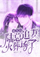 重生后,陆总追妻火葬场了在线阅读