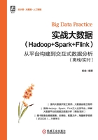 实战大数据（Hadoop+Spark+Flink）：从平台构建到交互式数据分析（离线/实时）在线阅读