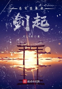 苍穹落幕我剑起