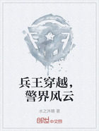 兵王穿越,警界风云在线阅读