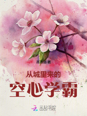 从城里来的空心学霸在线阅读