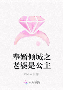奉婚傾城之老婆是公主