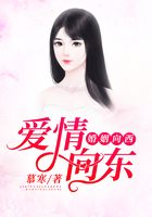 爱情向东,婚姻向西在线阅读