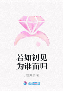 若如初見為誰而歸