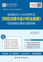 湖南省会计从业资格考试《财经法规与会计职业道德》历年真题与模拟试题详解