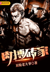 肉搏磚家