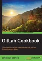 GitLab Cookbook在线阅读