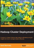 Hadoop Cluster Deployment在线阅读