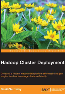 Hadoop Cluster Deployment